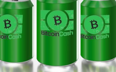 Bitcoin Cash Supporters Prepare for the Network’s Next Six Months