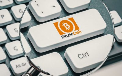 Bitcoin Cash Used to Pay for Music Records, Gift Cards, Plastic Surgery