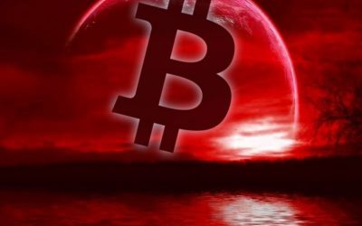 Crypto Bloodbath Leaves Altcoins Swimming in a Sea of Red