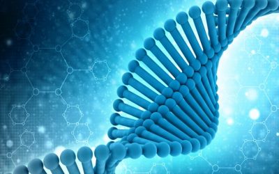 Scientist Deciphers Instructions to Claim Bitcoin In a DNA Sample