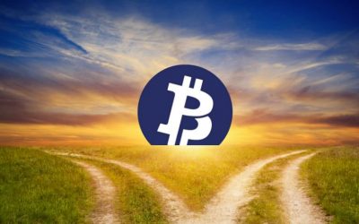Bitcoin Private Fork Aiming to Make Bitcoin Anonymous