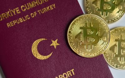 Turkish Minister Proposes National Cryptocurrency