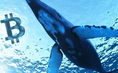 Genesis Launches Whale Sized Crypto-Loan Service