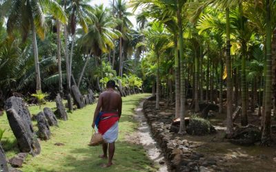 Archaeologists Argue Micronesian Stone Money Comprises Bitcoin Predecessor