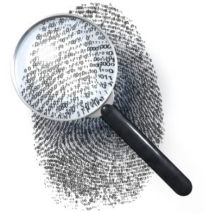 A Look at Stylometry: Can We Uncover Satoshi Through Literary Quirks?