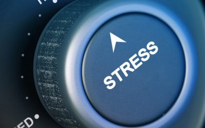 BCH Stress Testers Will Put Pressure on the Network in Two Weeks