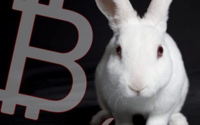 Black Hat Demo to Reveal ‘White Rabbit’ Crypto-Transaction Surveillance Tool