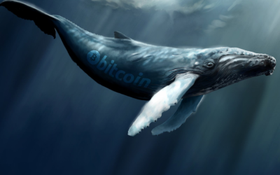 55% of All BTC Is Parked in Whale-Sized Wallets