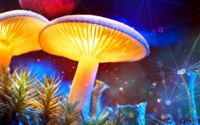 Of Moonshots and Mushrooms: Let’s Get Beyond Technocratic Thinking