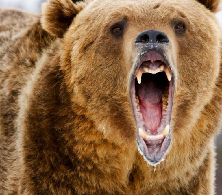 BTC Hashpower Doubles During Bear Market as Miners Sacrifice Profit for Position