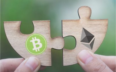 Four Alternatives to Shapeshift