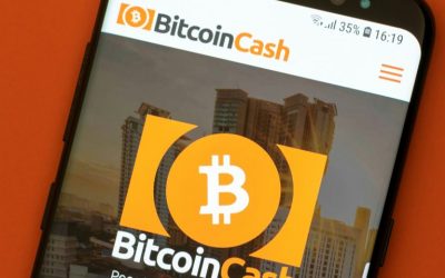 South African Startup Centbee Launches Bitcoin Cash Payments App