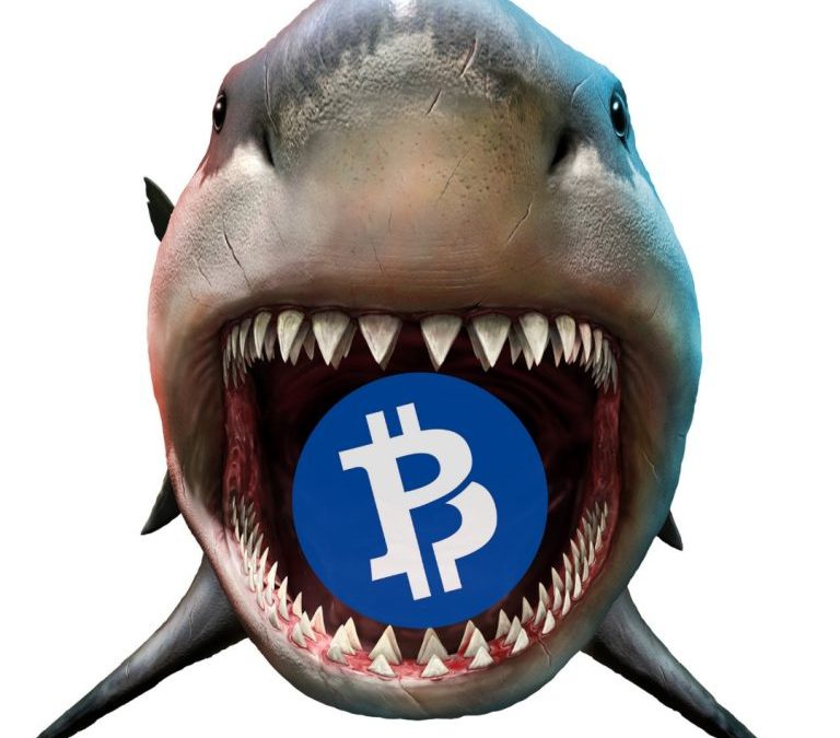 Hacker Livestreams 51% Attack on Bitcoin Private