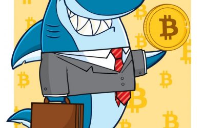 Cryptocurrency Roundup App Gets $100,000 Shark Tank Investment