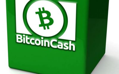 Bitcoin Cash Miners Break Records Processing Multiple 32 MB Blocks