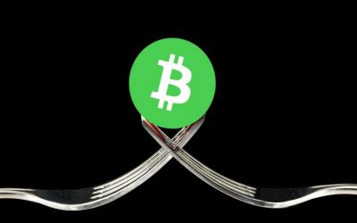 On Bitcoin Cash Fork Eve, Craig Wright Holds The Keys