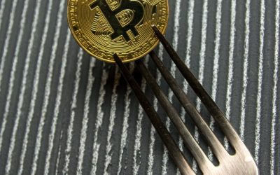 Bitcoin Cash Fork Watch: BCH Infrastructure Providers Reveal Contingency Plans