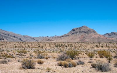 Lawyer Invests $300 Million to Build Crypto City in the Nevada Desert