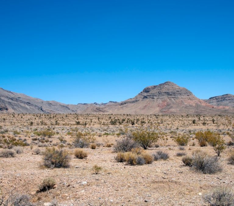 Lawyer Invests $300 Million to Build Crypto City in the Nevada Desert