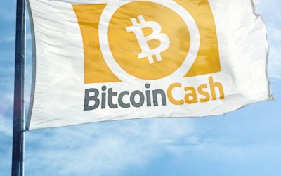 Markets Update: BCH Rallies, XRP Nears ETH Market Cap