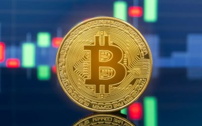 Markets Update: Cryptocurrencies Start the Week With Modest Gains