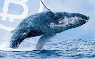 Bitcoin Whales and the Rise of Crypto-Fueled OTC Desks in 2018