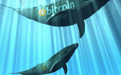 Previously Inactive Whales Are Moving Large Amounts of BTC