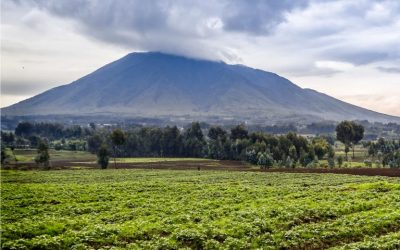 Paxful Completes Second School in Rwanda #BuiltWithBitcoin