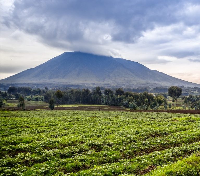 Paxful Completes Second School in Rwanda #BuiltWithBitcoin
