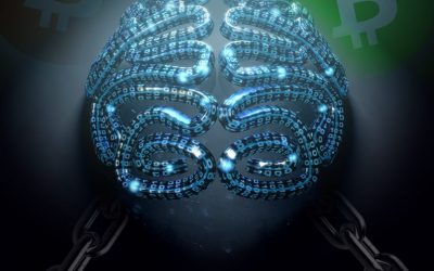 Crypto Schisms and Fork Psychology