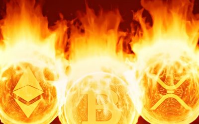 The Daily: Crashing Crypto Trader Shares Advice, Bitcoin Bandit Extradited