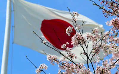 Japan Reveals Expectations for Cryptocurrency Industry Self-Regulation