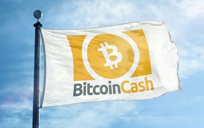 Over 900 Retailers Worldwide Now Accept Bitcoin Cash