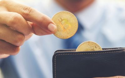 Falcon Private Bank Launches Crypto Wallet With Support for Direct BTC and BCH Transfers