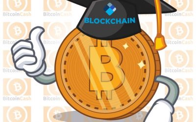 Blockchain.com Launches New Educational Resource With Bitcoin Cash Report