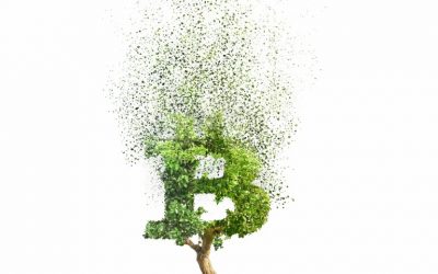 Blame Banks for Damaging the Environment – Not Bitcoin
