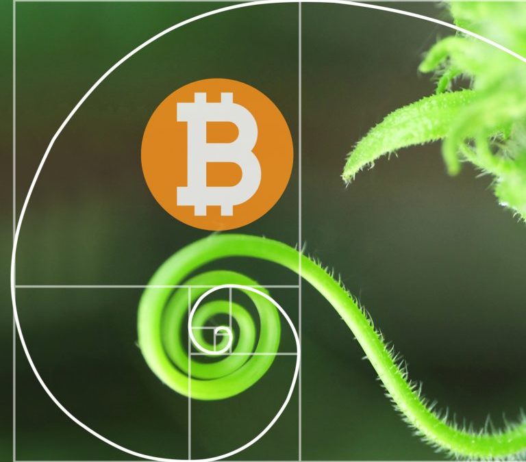 Tidbits: Peter Todd on Passphrase Memorization, Antonopoulos Explains Transaction Fees