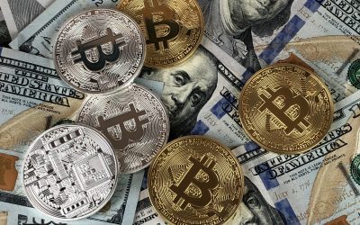 Nearly Half of Millennials Trust Crypto More Than US Stock Market: Survey