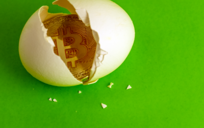 These Bitcoin Easter Eggs Are Hidden in Plain Sight