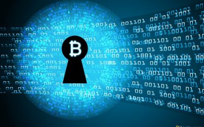 BCH Devs Lock in Code for the Chain’s Next Upgrade: Schnorr and Segwit Recovery