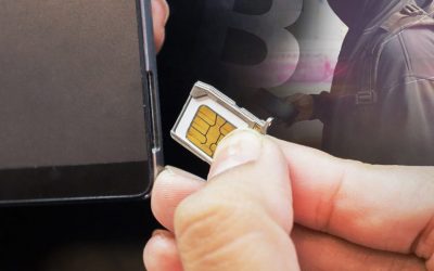 Crypto-Stealing SIM Swapper Pleads Guilty, Gets 10 Years in Prison