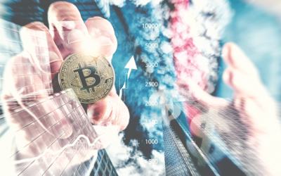 Weiss Ratings Now Favors BTC Out of 122 Cryptocurrencies