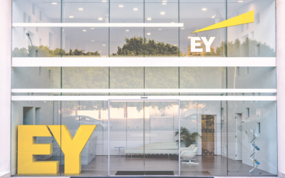 EY Executive Says Bitcoin Has No Practical Use in India