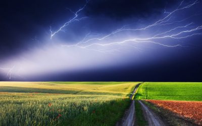 Business Owner’s Seething Critique of the Lightning Network Goes Viral