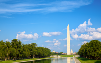 In the Daily: Cryptopia Resumes Trading, US Crypto Lobbying Intensifies, Visa Crypto Job