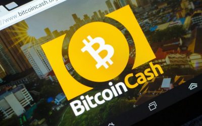 Bibox Exchange to Launch Leveraged BCH Perpetual Contracts