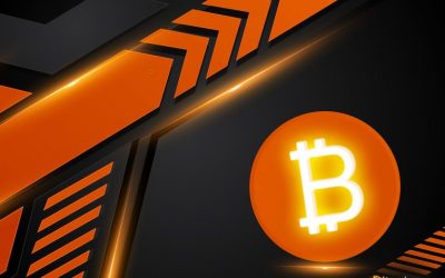 BCH Developer Builds Onchain Token Auction Console — SLP Agora