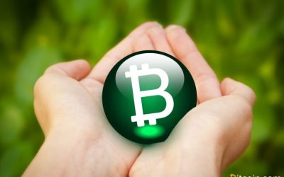 Crescent Cash BCH Wallet Features SLP Token Support for Smartphones