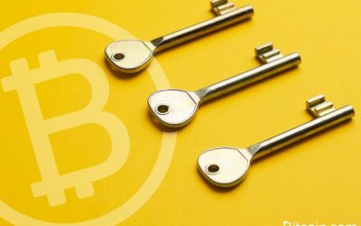 Bitcoin Cash Devs Publish the First 3 of 3 Multi-Sig Schnorr Transaction