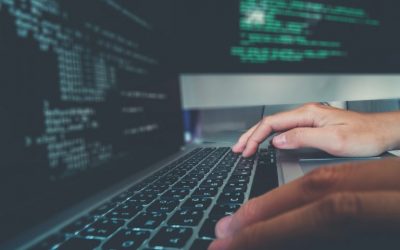 BCH Businesses Launch Development Fund for Bitcoin Cash